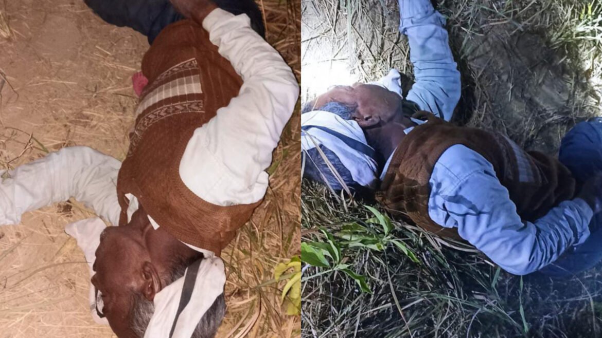 Middle-aged man died in the forest under suspicious circumstances, there was uproar in the family