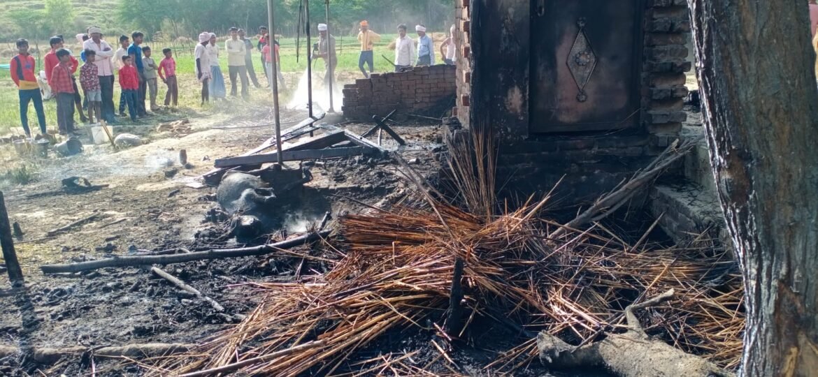 Fire broke out in cattle enclosure, 3 animals killed, half a dozen injured