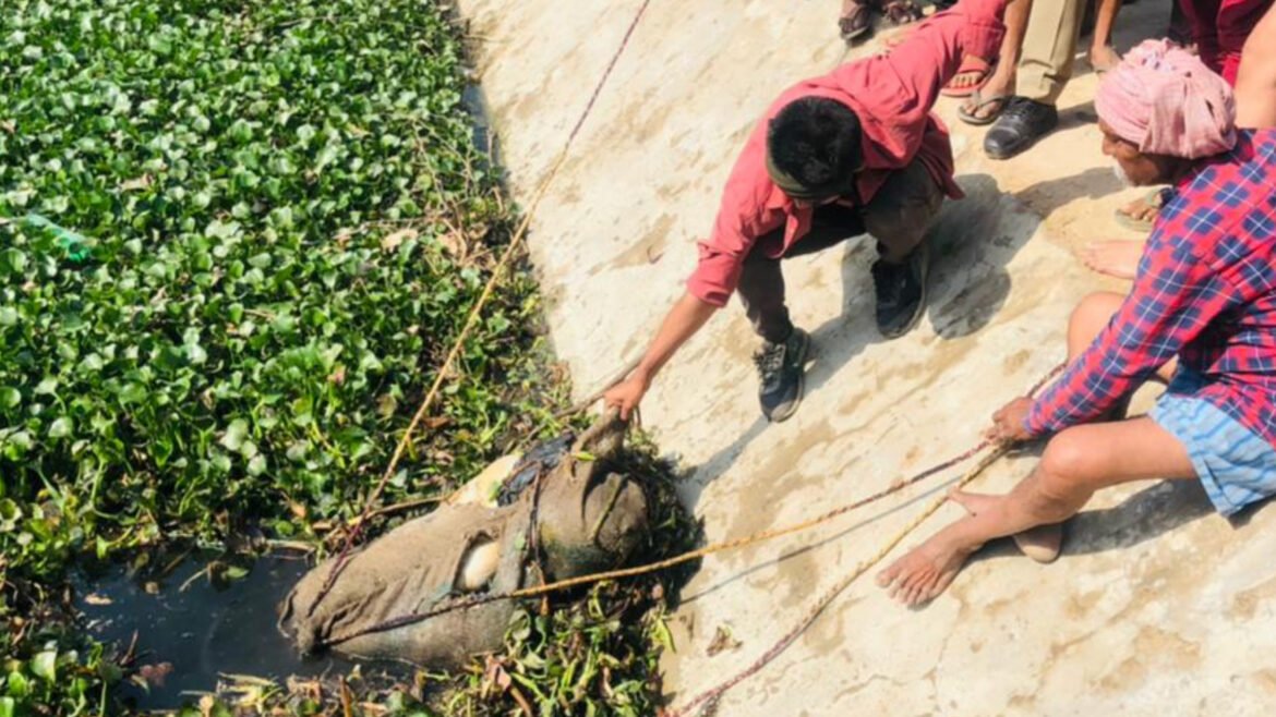 The body of the woman was visible in the sacks floating in the pond, when the police reached the spot, this truth came to the fore
