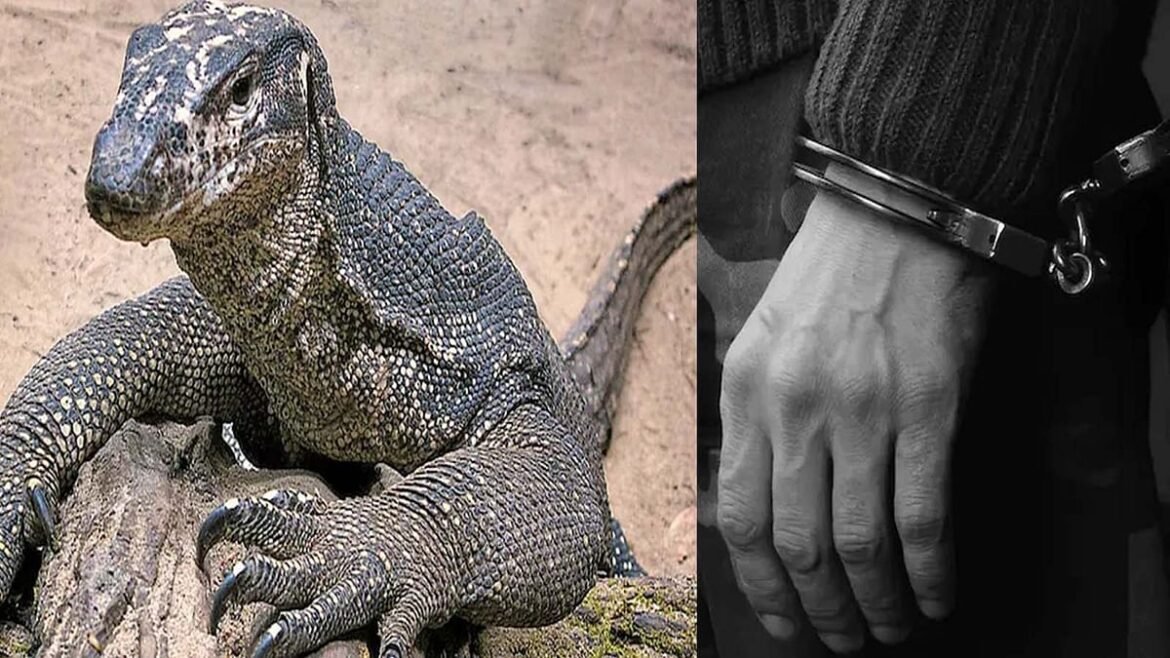 Shameful: Bengal Monitor Lizard was allegedly raped by four men! arrested
