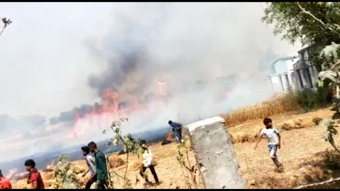 Fire in wheat field due to spark of electric high tension line, farmers upset due to burning of 4 bighas of crop