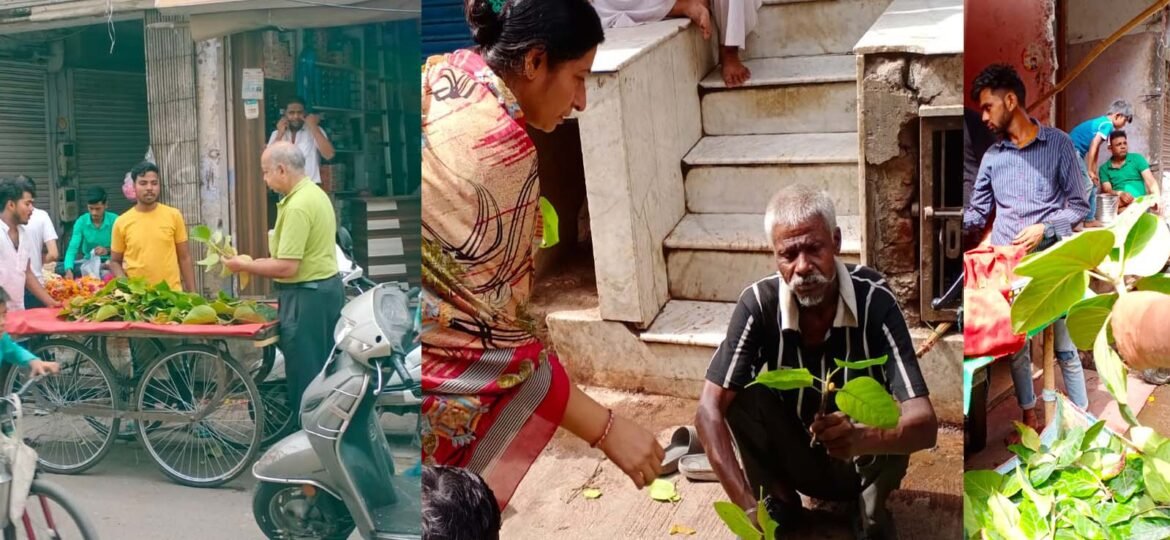 Small branches of banyan tree sold for 50 rupees in Agra