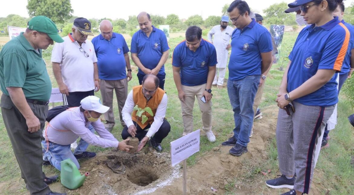 Plantation done at DEI Boys Hostel as part of 'Iconic Week'